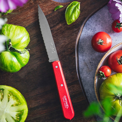 couteau-opinel-crante-n113-rouge