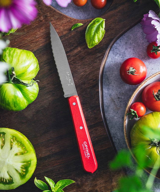 couteau-opinel-crante-n113-rouge