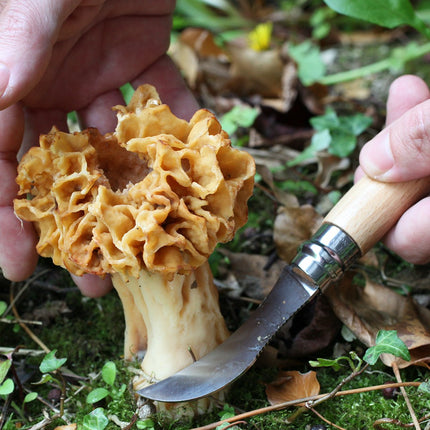 couteau-doffice-opinel-cuisine-nomade-champignon