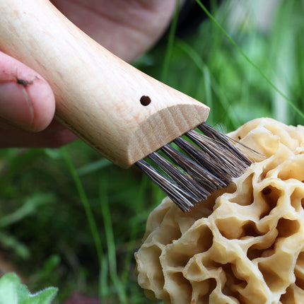 couteau-doffice-opinel-cuisine-nomade-champignon