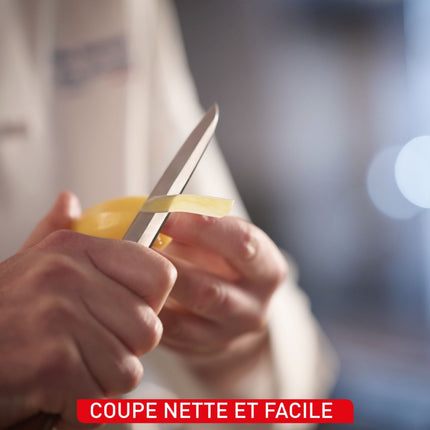 couteau-doffice-tefal-12cm-collection-paul-bocuse