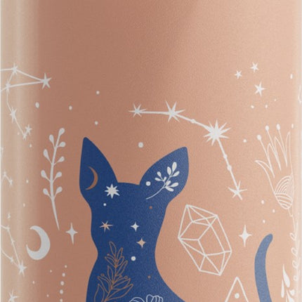gourde-enfant-sigg-wmb-one-my-universe-0-6l