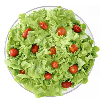 essoreuse-a-salade-insalata-a-piston