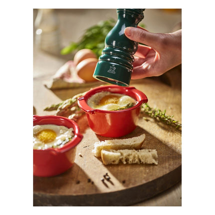 moulin-a-sel-peugeot-paris-z-uselect-bois-vert-foret-18cm