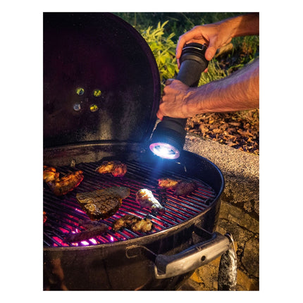 moulin-a-poivre-peugeot-graphite-30cm-special-bbq