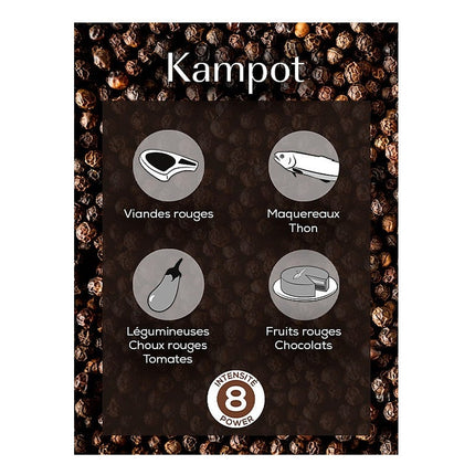 poivre-peugeot-de-3-sachets-de-20g-kampot-poivre-noir
