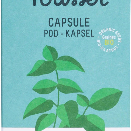 recharge-jardin-dinterieur-pret-a-pousser-basilic-grand-vert