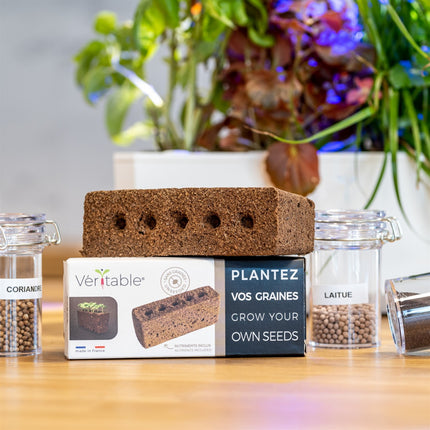 recharge-jardin-dinterieur-veritable-lingot-plantez-vos-propres-graines