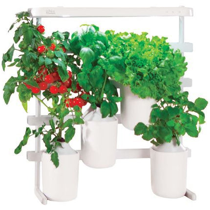 recharge-jardin-dinterieur-pret-a-pousser-mini-tomates