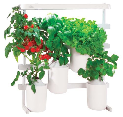 recharge-jardin-dinterieur-pret-a-pousser-mini-tomates