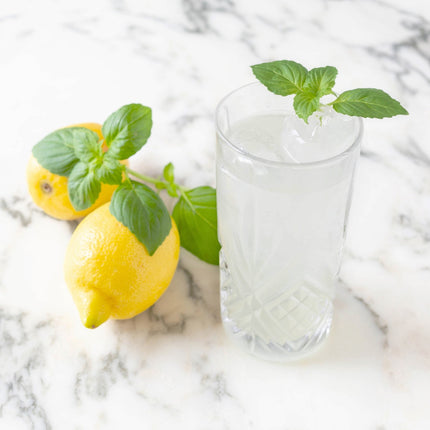 recharge-jardin-dinterieur-pret-a-pousser-basilic-citron