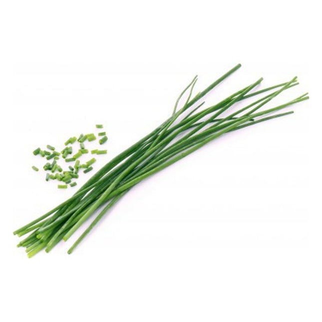 recharge-jardin-dinterieur-veritable-ciboulette-bio