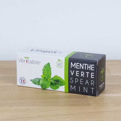 recharge-jardin-dinterieur-veritable-menthe-verte-bio