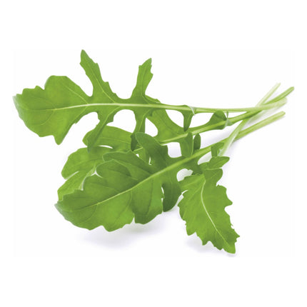 recharge-jardin-dinterieur-click-and-grow-roquette-lot-de-3
