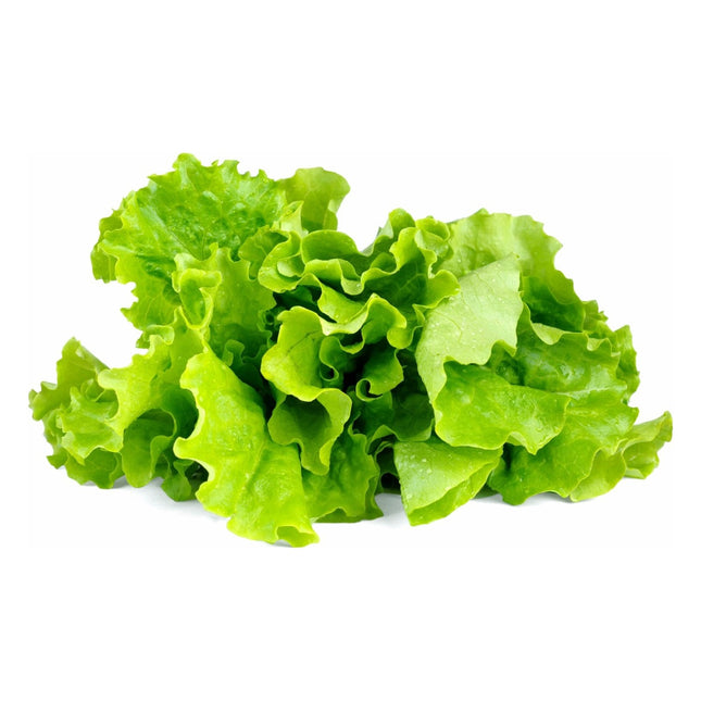 recharge-jardin-dinterieur-click-and-grow-laitue-verte-lot-de-3