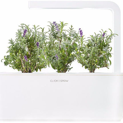 recharge-jardin-dinterieur-click-and-grow-lavande-lot-de-3