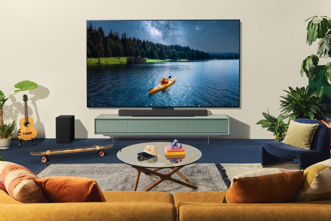 tv-oled-lg-oled65c4-reconditionne