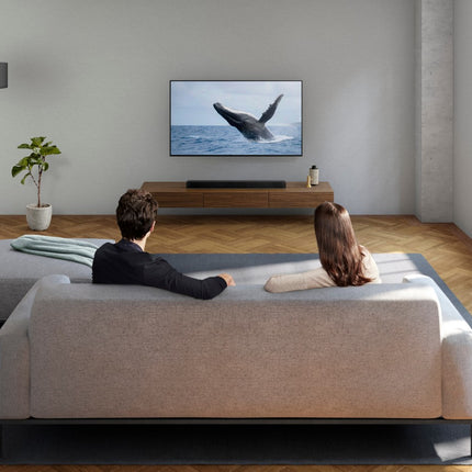 barre-de-son-sony-htx8500