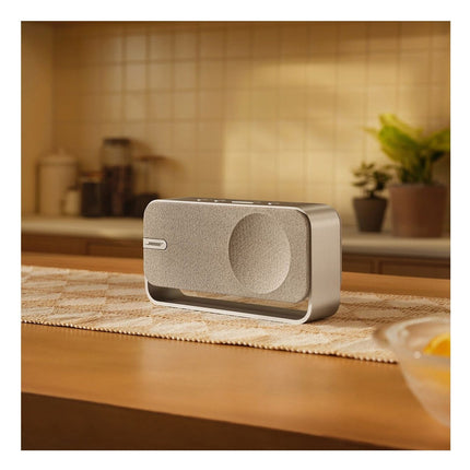 enceinte-portable-bose-soundlink-home-argent