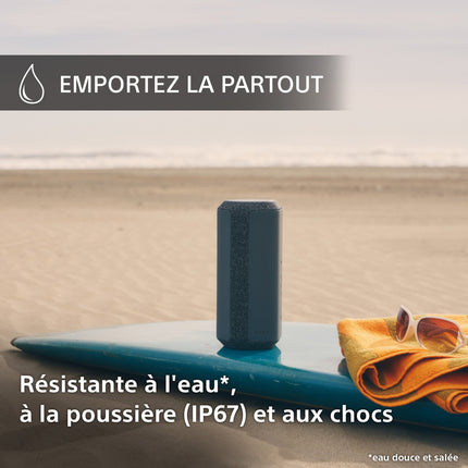 enceinte-portable-sony-srs-xe300-gris-perle-reconditionne