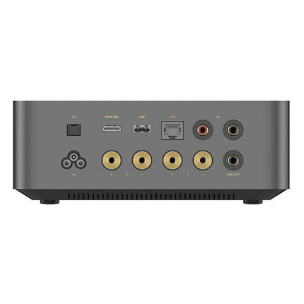 amplificateur-hifi-wiim-amp-ultra-silver