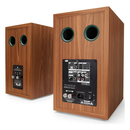 enceinte-bibliotheque-active-triangle-br03-connect