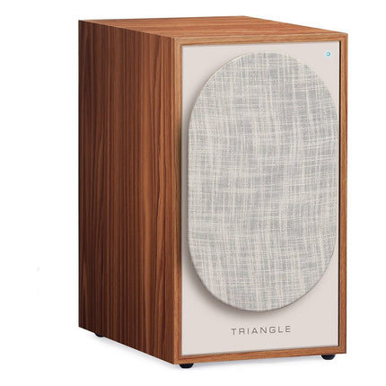 enceinte-bibliotheque-active-triangle-br03-connect