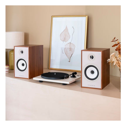 enceinte-bibliotheque-active-triangle-br03-connect
