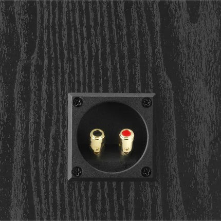 enceinte-surround-dali-dali-alteco-1c-black-ash