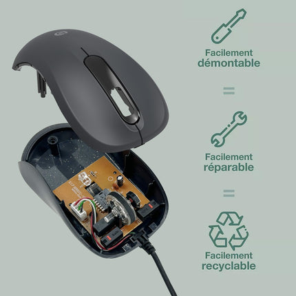 souris-filaire-essentielb-ecological-noire