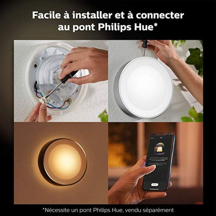 luminaire-philips-hue-w-c-daylo-15w-inox