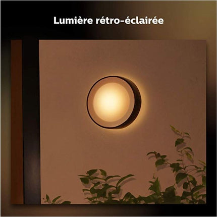 luminaire-philips-hue-w-c-daylo-15w-noir