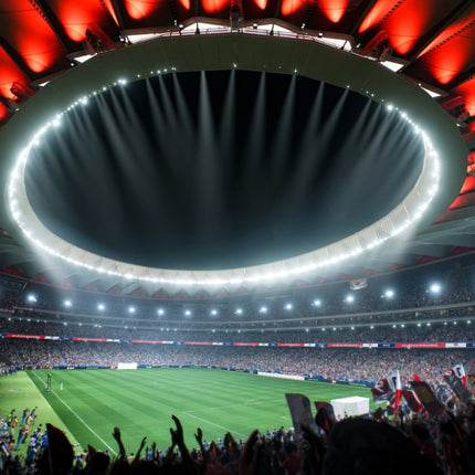 jeu-ps5-electronic-arts-ea-sports-fc-24-standard