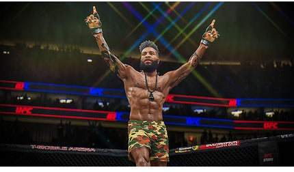 jeu-ps4-electronic-arts-ufc-4