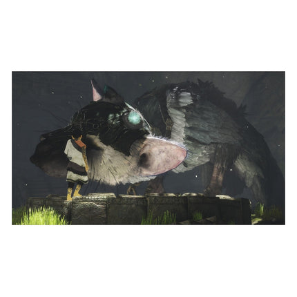 jeu-ps4-sony-the-last-guardian