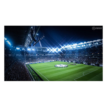 jeu-switch-electronic-arts-fifa-19
