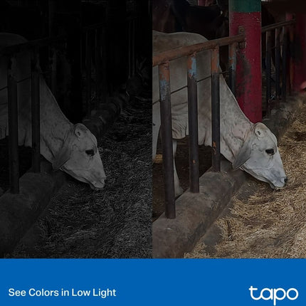 camera-de-surveillance-tp-link-wifi-tapo-c320ws