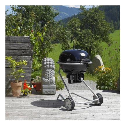 barbecue-charbon-rosle-boule-no-1-air-f60