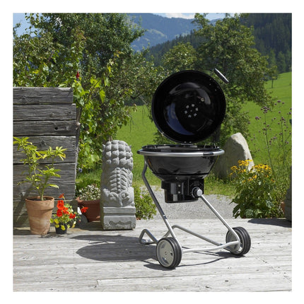 barbecue-charbon-rosle-boule-no-1-air-f60