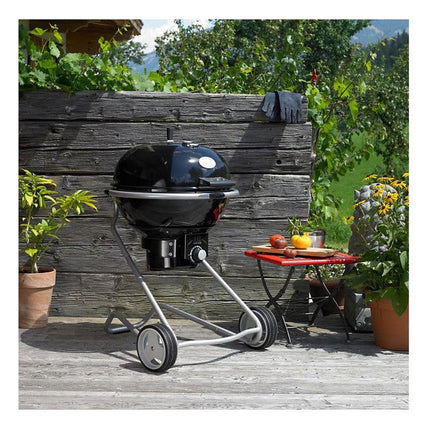barbecue-charbon-rosle-boule-no-1-air-f50