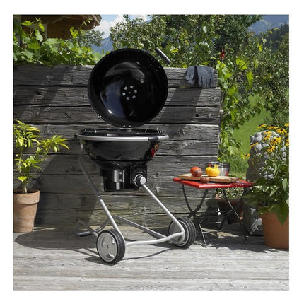barbecue-charbon-rosle-boule-no-1-air-f50