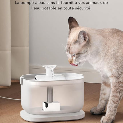 fontaine-a-eau-petlibro-dockstream-sans-fil