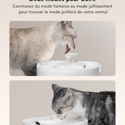 fontaine-a-eau-petlibro-dockstream-sans-fil